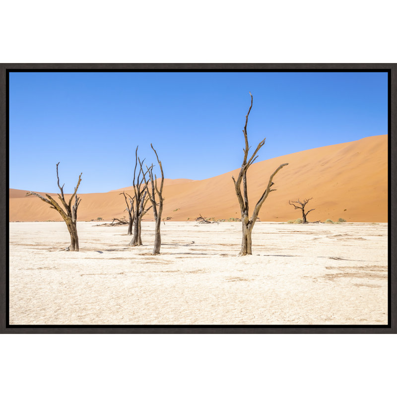 Namibian Skeleton Trees XII Print by Richard Silver, 25.75" H x 37.75" W x 1.5" D, Glass Coat