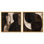 Duality of Forms Set Canvas Print Beige Wall Decor Set by Art Remedy, Black Frame, 12 x 12