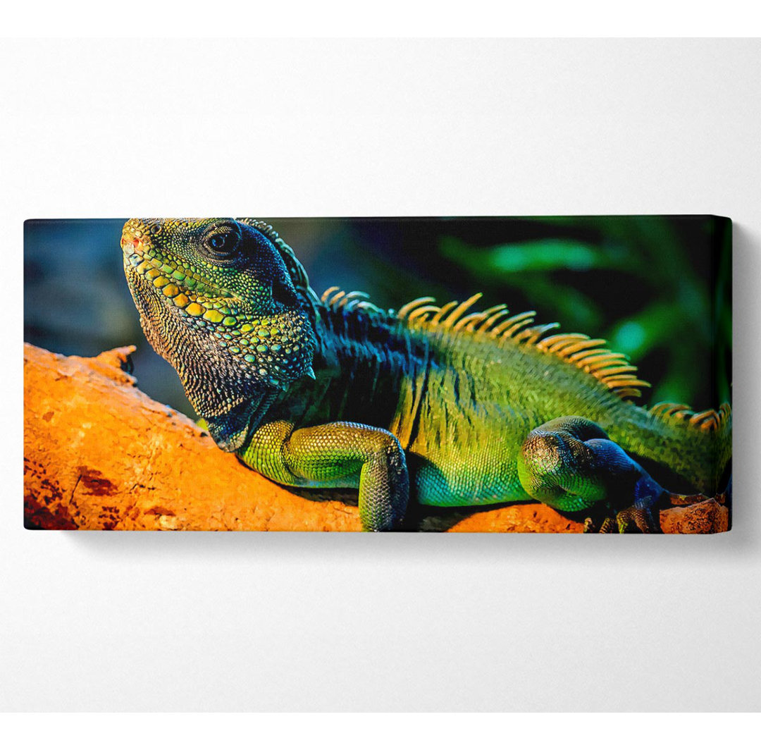 Leguan Panoramaleinwand