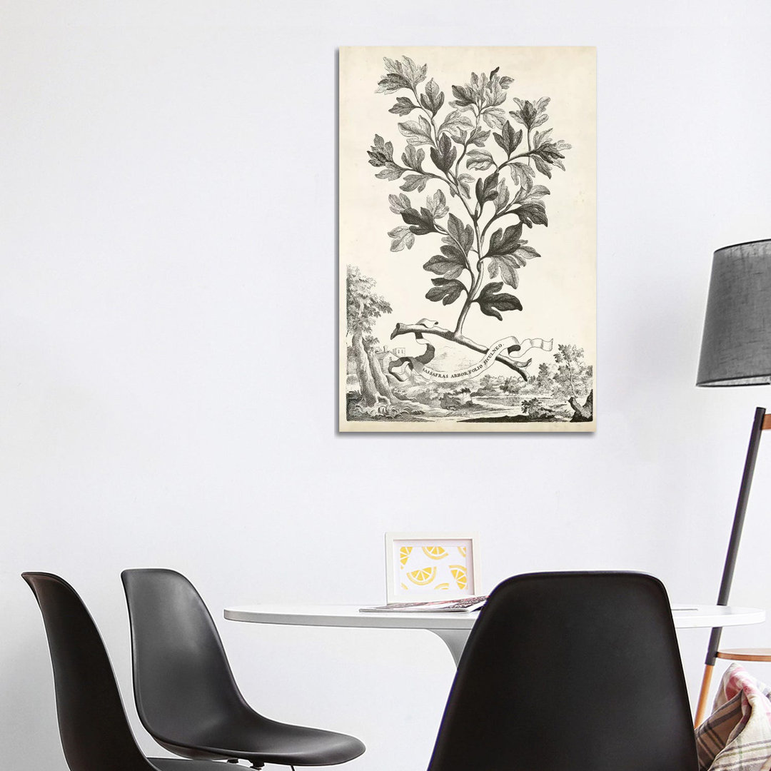 Scenic Botanical V by - Print