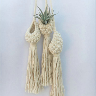 Plant Hanger