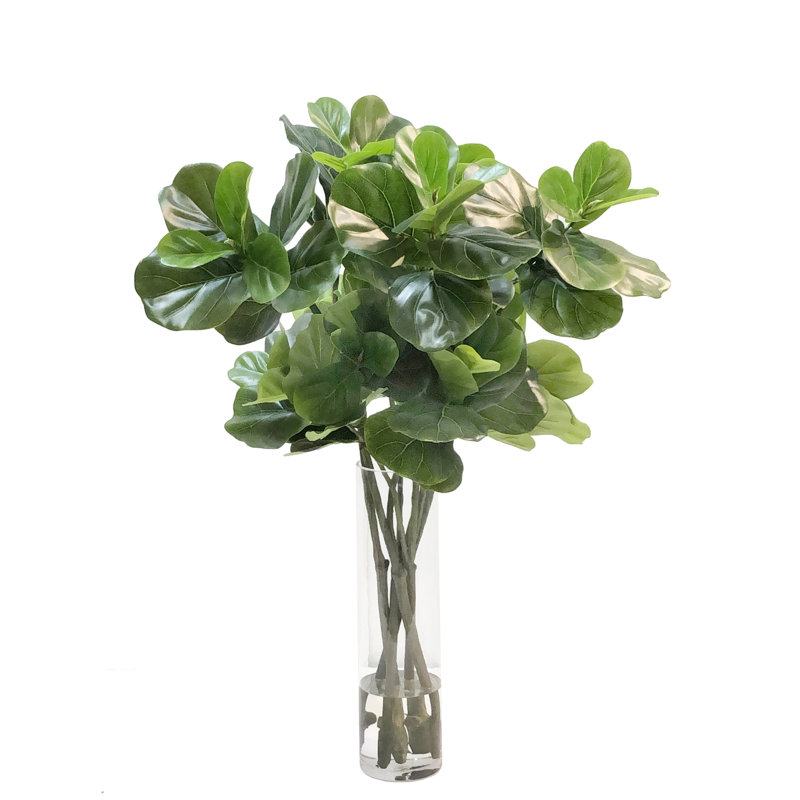 FIDDLE LEAF IN VASE