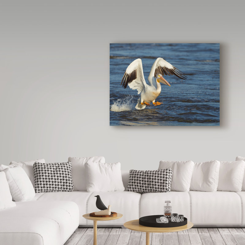 «Pelican Flying» de Fillmer, reproduction de photo sur toile tendue, H 35 po x l 47 po x P 2 po