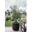 Lisle Pot Planter-228607736-228607742