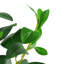 101.6cm Faux Ficus Plant in Pot
