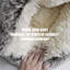 Lit pour animaux Geidi Nest-751425811-751425803