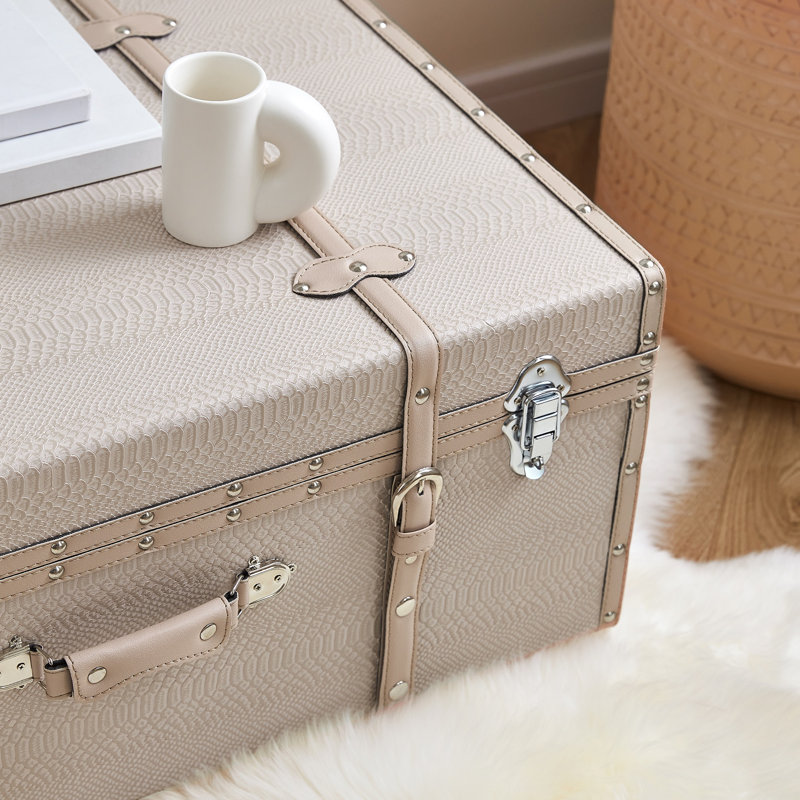 Texture Brand Trunk - Black Snakeskin, Beige