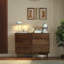 Armoire d'appoint rétro tout en bois massif