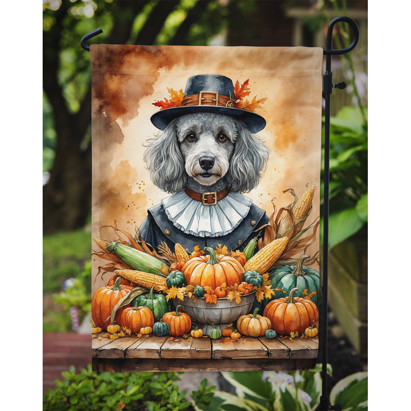 Drapeau du jardin de l'Action de grâce, Caniche gris argenté