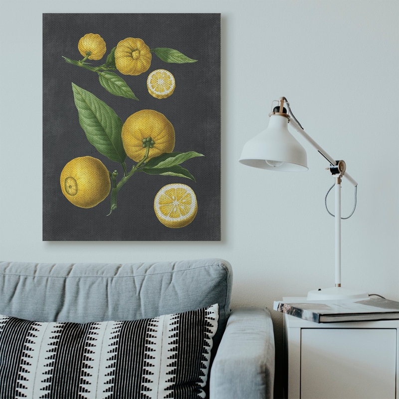 «Botanical Dessin Lemons On Black Design», impression, Toile tendue, H 48 po x l 36 po