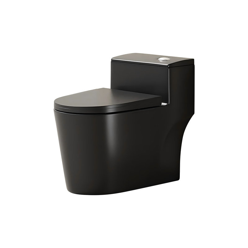 Toilette siphonique silencieuse 12 po 15,75 po