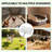 Heavy Duty Adjustable Chicken Coop Poop Scooper