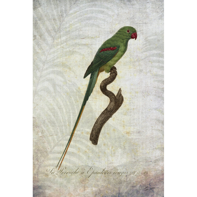 Parrot Jungle III - Wrapped Canvas Print, 76cm H x 51cm W