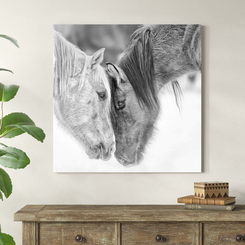 "B&W Horses VII" par PHBurchett, impression sur toile, H 36 po x l 36 po, Toile tendue, Sans cadre