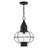 Aster Outdoor Hanging Lantern-1189298492