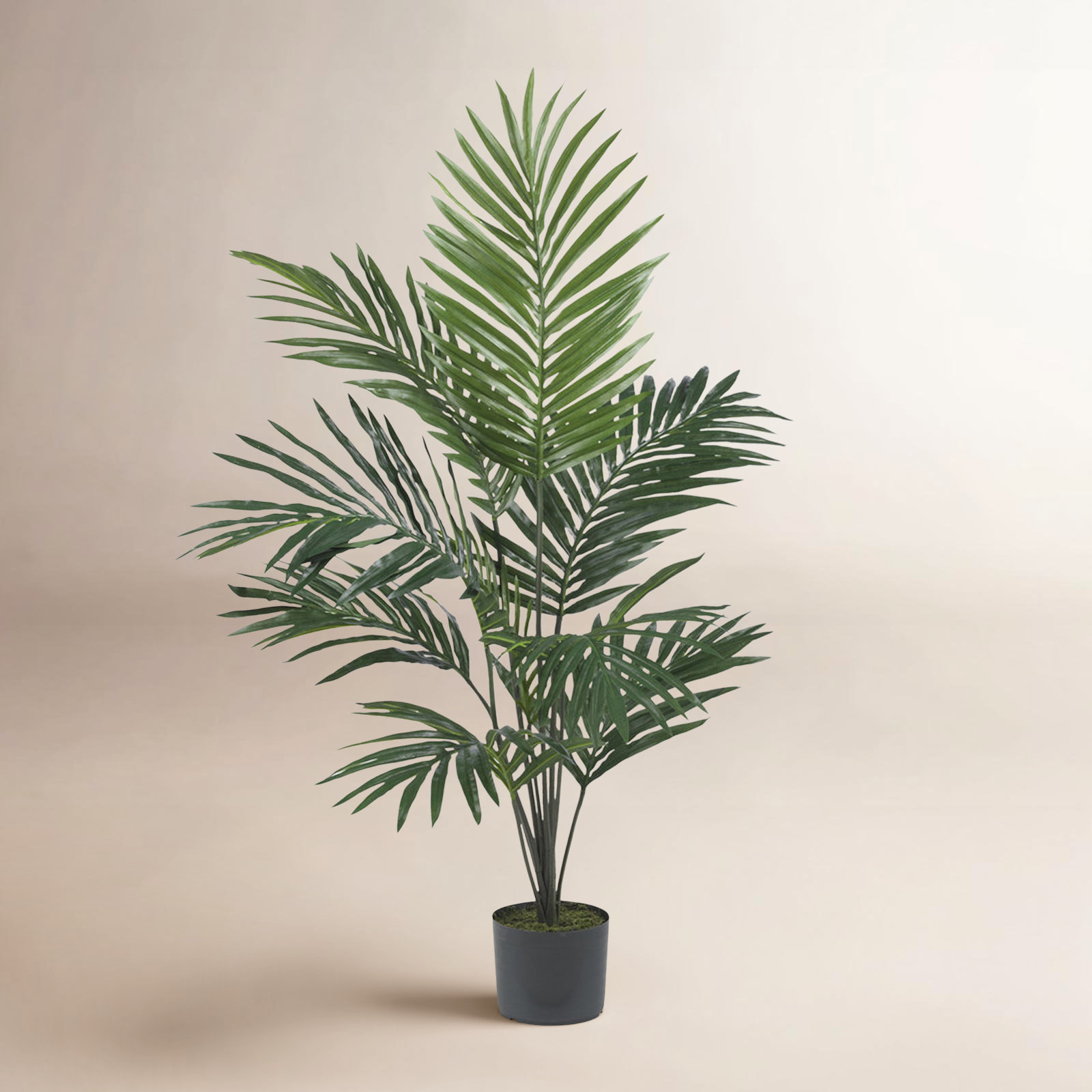 Callum Faux Palm Tree in Pot, 60" H