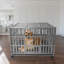 Caisse pour animaux robuste-444846781