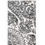 Tapis oriental en laine et coton touffeté à la main Metro-693610950