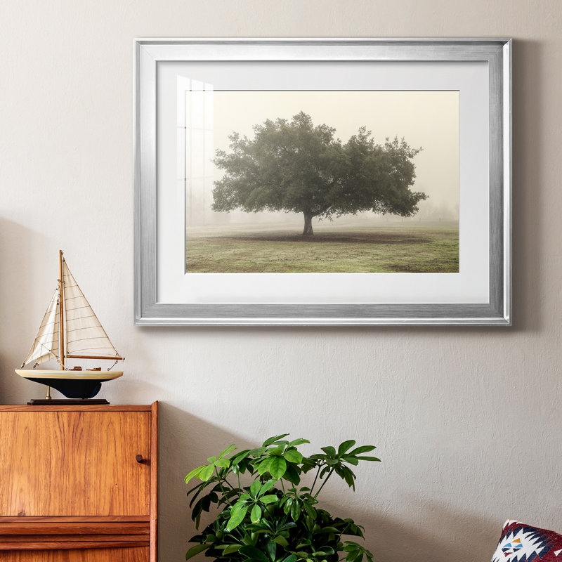 «Trees In The Fog II», reproduction encadrée de qualité supérieure - prête à être accrochée, H 18,5 po x l 24,5 po x P 1 po