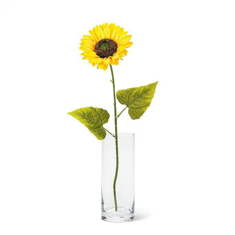 Arrangement de tiges, de buissons et de jets de tournesol