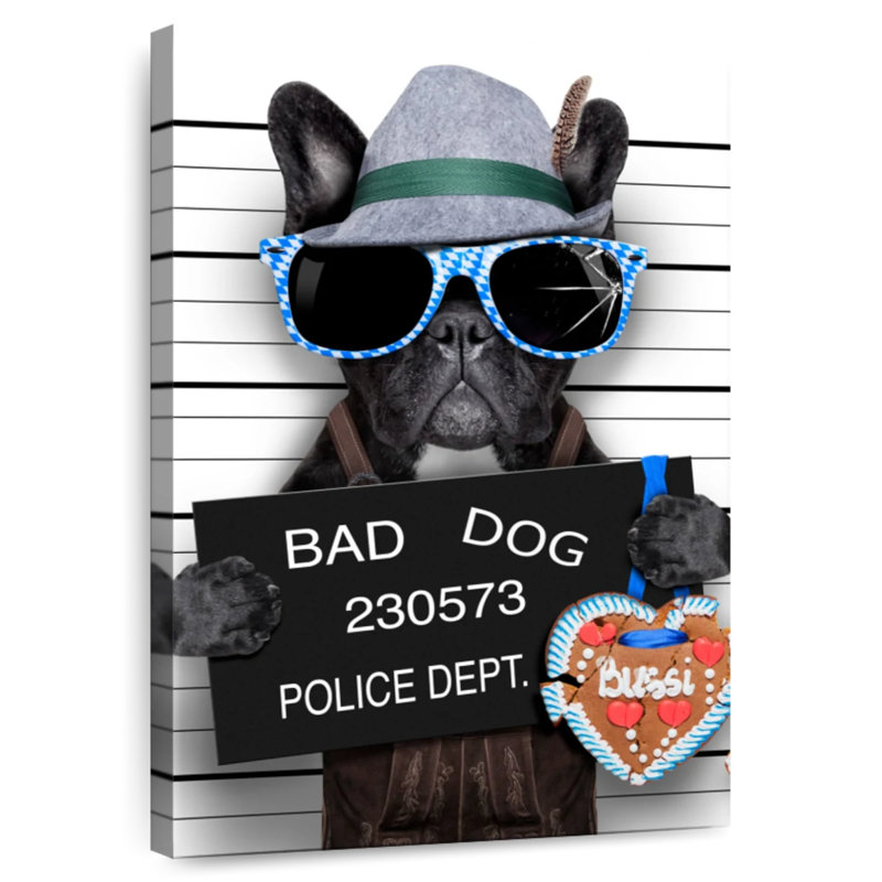 Bouledogue français Brampt Bad, H 36 po x l 24 po