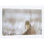 Prairie winter, impression sur toile-32495586-72138221-72138220