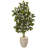 53'' Faux Ficus Tree in Earthenware Planter