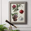 " Pomegranate Composition II "-424550300