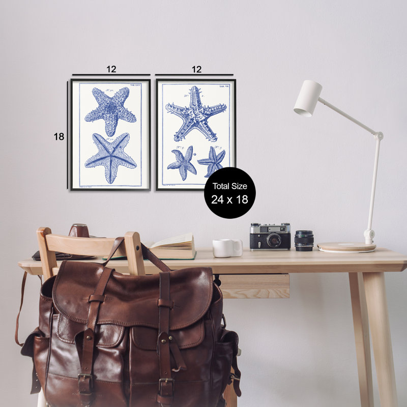 Schéma d'une étoile de mer, ensemble de 2 giclées par Vision Studio, H 18 po x l 12 po, Giclée encadrée noir minuit