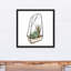 Terrarium, reproduction d'art sur toile-1800250619