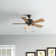 Plainfield 42'' Ceiling Fan with Light Kit