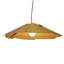 Fuchsia 1 - Light Pendant-99923670