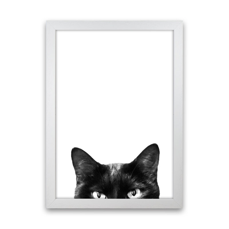 Black Cat by Victoria Frost - Print, White Framed, 88cm H x 64cm W x 3cm D