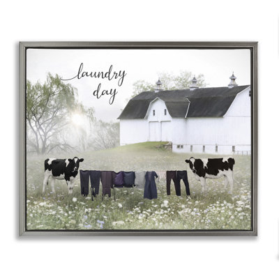 Jour de lessive avec les vaches