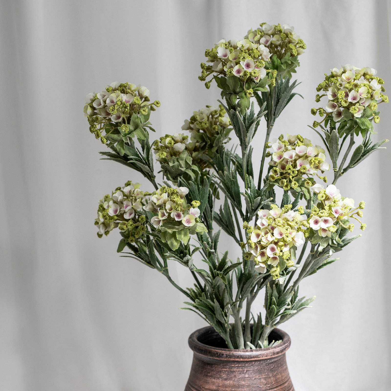 Audet Sweet Alyssum Stems, White