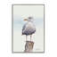 «Seaside Seagull Perch», estampe numérique, conception de Cady-433502524-433502520