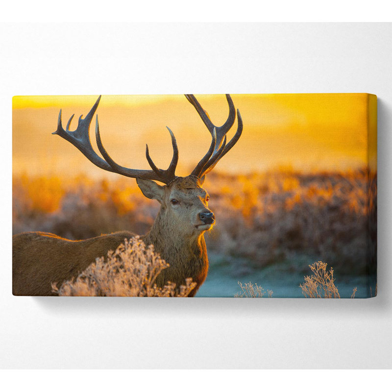 Shae Crisp Winters Stag - Wrapped Canvas Art Prints, 101.6cm H x 203.2cm W x 1cm D