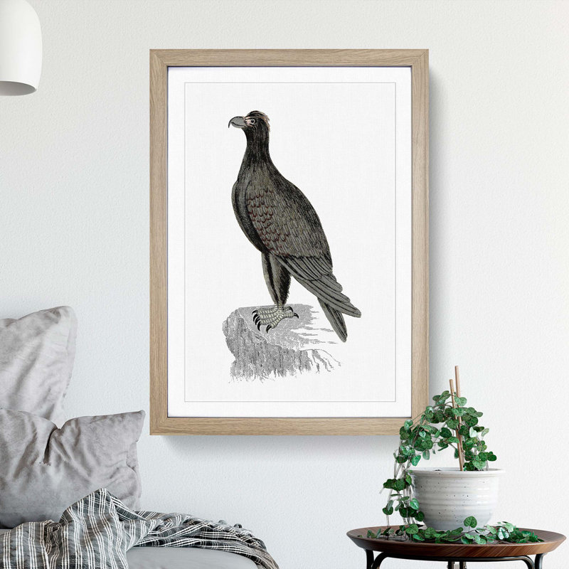 Mountain Eagle Illustration - Framed Print, 48cm H x 36cm W x 2cm D, Oak Framed