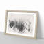 Moody Forest in Misurina Italy - Picture Frame Graphic Art Print-56891084-56891092