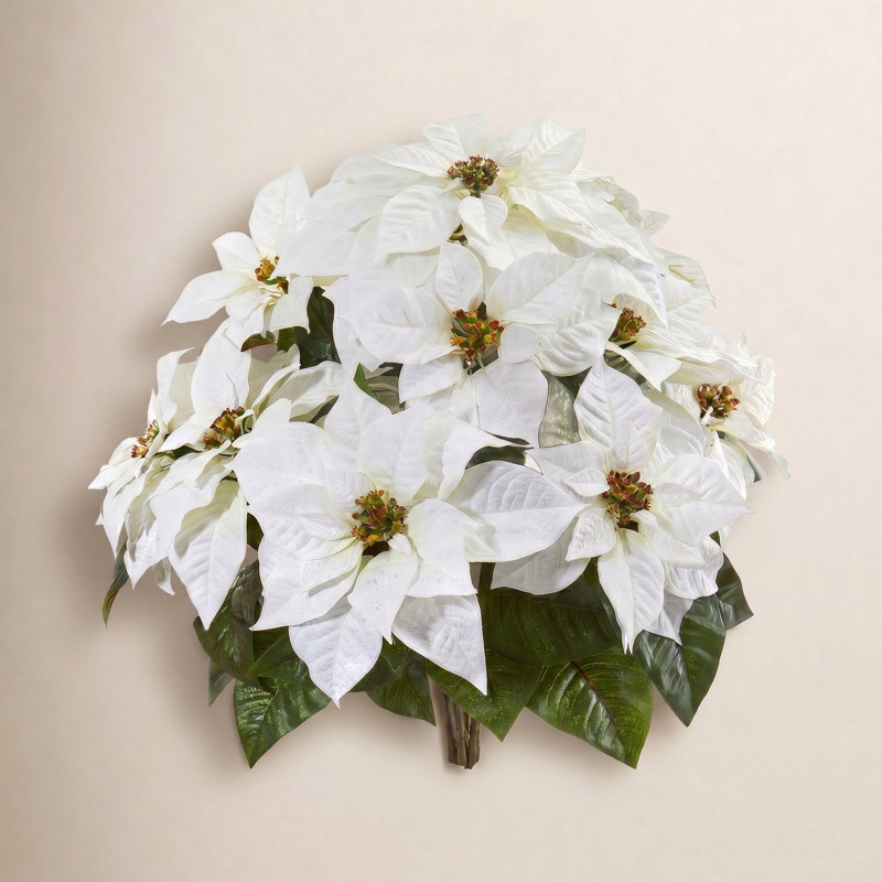Poinsettia Floral Arrangement, White