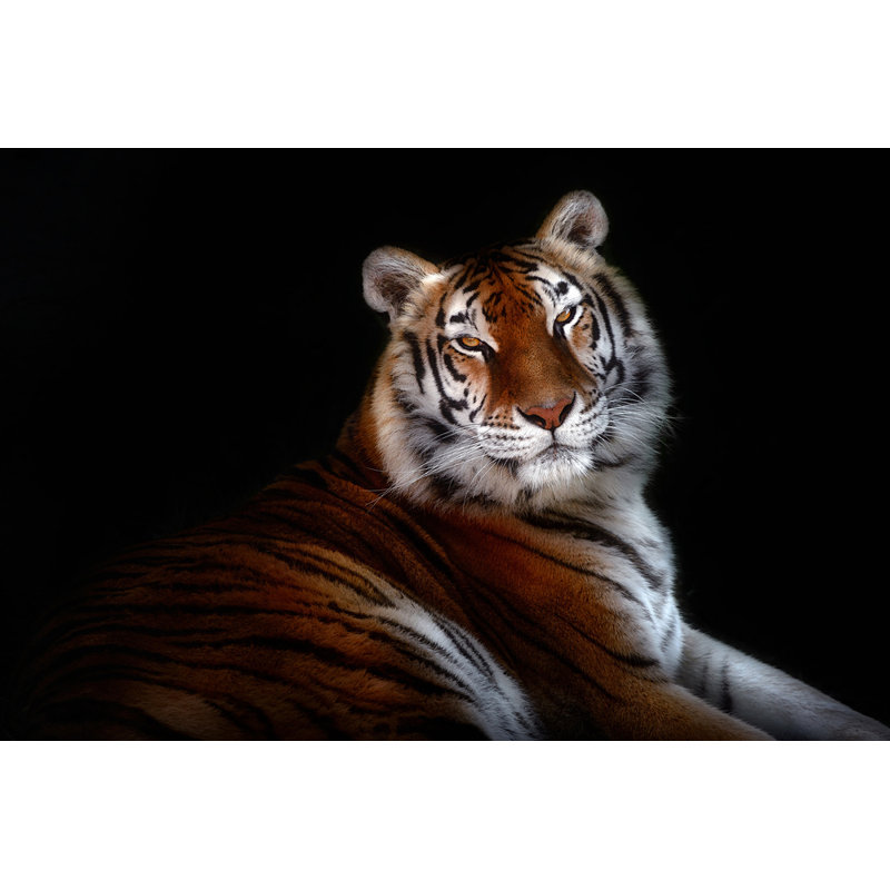 Wrapped Canvas Print, 60.96 cm H x 91.44 cm W