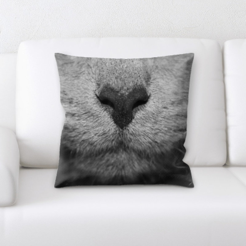 Coussin pour chat
