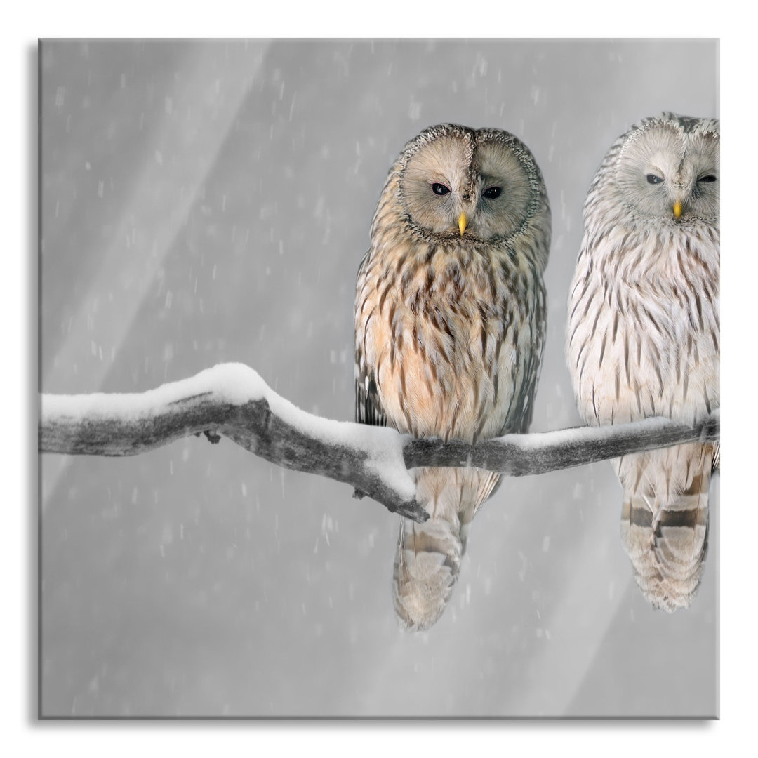 Ungerahmtes Foto auf Glas "Two Owls in a Winter Landscape"