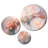 Plants & Flowers Wall Decor on Metal