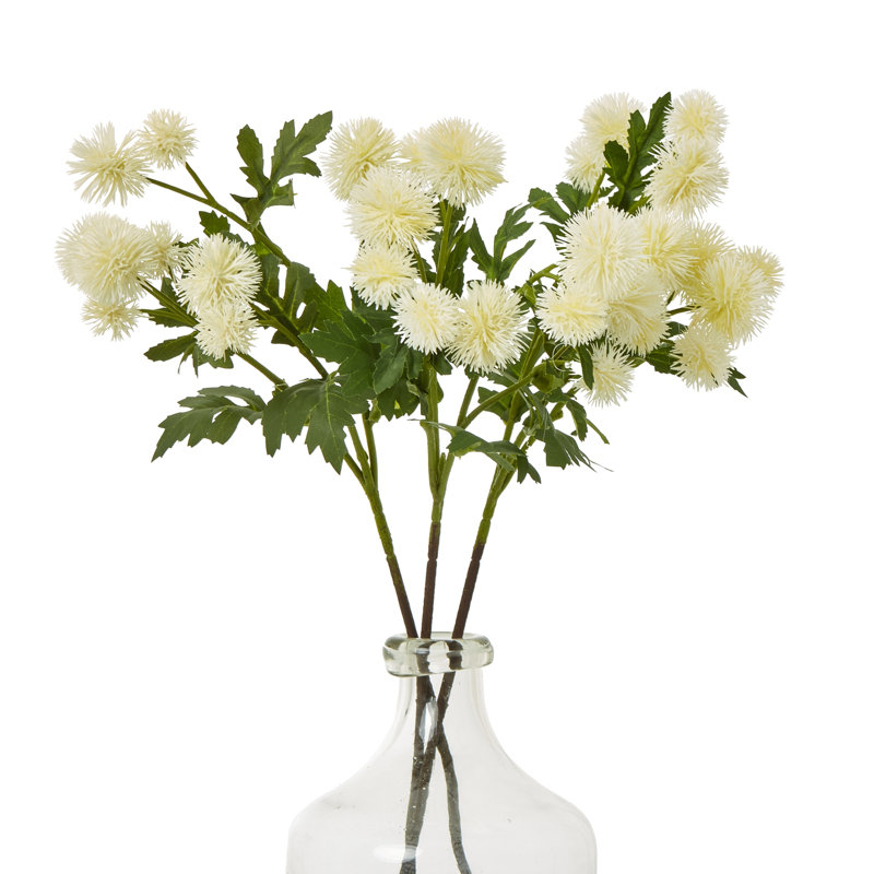 Arrangement, Cream