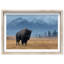 Mountain Bison I Print by Oliver Gal-844989538-844989544