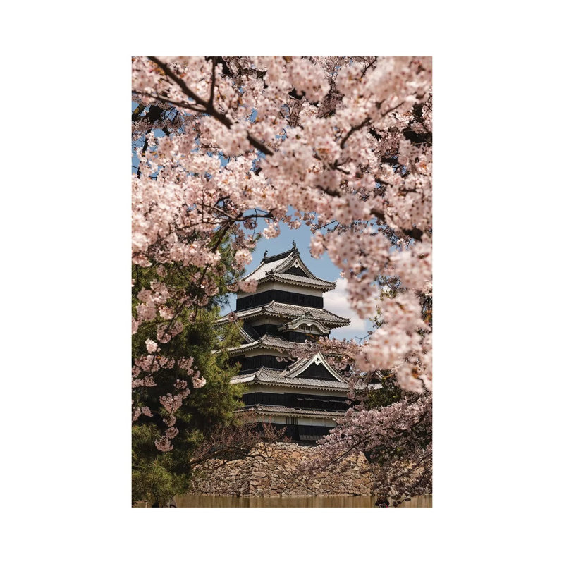 Matsumoto Castle XIII by Daisuke Uematsu - Print on Canvas, Wrapped Canvas, 66.04cm H x 45.72cm W x 1.91cm D