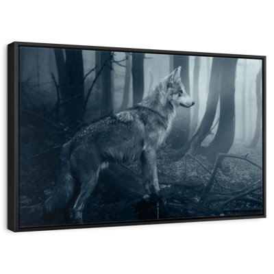 Loup gris