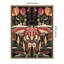 «Moth Abstract» par Houpt, reproduction d'art sur toile encadrée-527082750