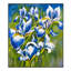 Shi Fei's Twilight Irises